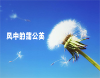 风中的蒲公英-张宇桦钢琴谱文件(五线谱、双手简谱、数字谱、Midi、PDF)免费下载