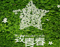 致青春-弹唱谱钢琴谱文件(五线谱、双手简谱、数字谱、Midi、PDF)免费下载