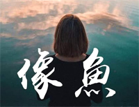 像鱼-王贰浪钢琴谱文件(五线谱、双手简谱、数字谱、Midi、PDF)免费下载