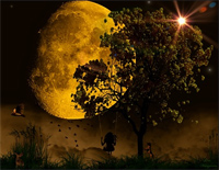 Confessions in the Moonlight-久石让钢琴谱文件(五线谱、双手简谱、数字谱、Midi、PDF)免费下载