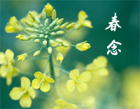 春念-好听的轻音乐钢琴谱文件（五线谱、双手简谱、数字谱、Midi、PDF）免费下载