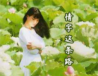 情字这条路-林文信版钢琴谱文件(五线谱、双手简谱、数字谱、Midi、PDF)免费下载