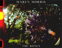 The Bones-Maren Morris钢琴谱文件(五线谱、双手简谱、数字谱、Midi、PDF)免费下载