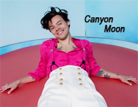 Canyon Moon-Harry Styles钢琴谱文件（五线谱、双手简谱、数字谱、Midi、PDF）免费下载