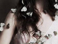 Connies Butterfly-康妮的蝴蝶钢琴谱文件（五线谱、双手简谱、数字谱、Midi、PDF）免费下载
