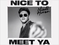 Nice to Meet Ya-Niall Horan钢琴谱文件(五线谱、双手简谱、数字谱、Midi、PDF)免费下载