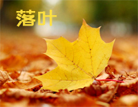 落叶-汤普森现代钢琴第一册钢琴谱文件(五线谱、双手简谱、数字谱、Midi、PDF)免费下载