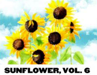 Sunflower Vol 6-Harry Styles钢琴谱文件(五线谱、双手简谱、数字谱、Midi、PDF)免费下载