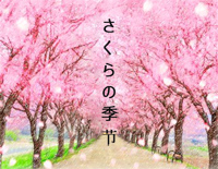 さくらの季节-柔美轻音乐钢琴谱文件（五线谱、双手简谱、数字谱、Midi、PDF）免费下载