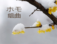 木毛组曲-原创-ホモ组曲钢琴谱文件(五线谱、双手简谱、数字谱、Midi、PDF)免费下载