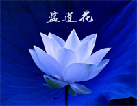 蓝莲花-C调简单版-动人旋律引发无数人共鸣钢琴谱文件(五线谱、双手简谱、数字谱、Midi、PDF)免费下载