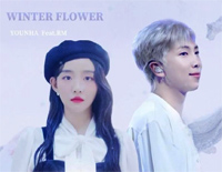 Winter Flower-雪中梅钢琴谱文件(五线谱、双手简谱、数字谱、Midi、PDF)免费下载