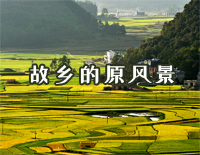 故乡的原风景-C调简单版-故郷の原風景钢琴谱文件(五线谱、双手简谱、数字谱、Midi、PDF)免费下载