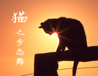 猫之步态舞-经典爵士钢琴曲钢琴谱文件（五线谱、双手简谱、数字谱、Midi、PDF）免费下载