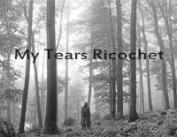 My Tears Ricochet-Taylor Swift钢琴谱文件(五线谱、双手简谱、数字谱、Midi、PDF)免费下载