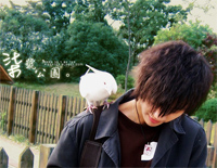 七号公园-C调简单版钢琴谱文件（五线谱、双手简谱、数字谱、Midi、PDF）免费下载