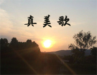 真美歌-初级-新编赞美诗第13首钢琴谱文件（五线谱、双手简谱、数字谱、Midi、PDF）免费下载