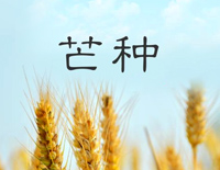 芒种-适配版钢琴谱文件(五线谱、双手简谱、数字谱、Midi、PDF)免费下载