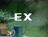 EX-Stray Kids钢琴谱文件（五线谱、双手简谱、数字谱、Midi、PDF）免费下载