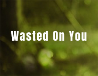 Wasted on You-Morgan Wallen钢琴谱文件(五线谱、双手简谱、数字谱、Midi、PDF)免费下载