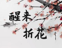 醒来折花-C调简单版-我曾踏平了孤川西风走马钢琴谱文件(五线谱、双手简谱、数字谱、Midi、PDF)免费下载