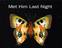 Met Him Last Night-Demi Lovato ft Ariana Grande钢琴谱文件(五线谱、双手简谱、数字谱、Midi、PDF)免费下载