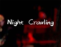 Night Crawling-Miley Cyrus ft Billy Idol钢琴谱文件(五线谱、双手简谱、数字谱、Midi、PDF)免费下载