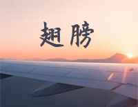 翅膀-林俊杰钢琴谱文件(五线谱、双手简谱、数字谱、Midi、PDF)免费下载