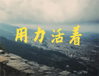 用力活着-C调简单版-我们都在用力的活着-成长的路上有几程曲折钢琴谱文件（五线谱、双手简谱、数字谱、Midi、PDF）免费下载