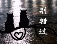 别错过-超简版-把你的心给我把你的爱给我-抖音钢琴谱文件（五线谱、双手简谱、数字谱、Midi、PDF）免费下载