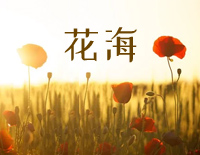 花海-原调简单版-周杰伦钢琴谱文件(五线谱、双手简谱、数字谱、Midi、PDF)免费下载