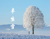 半生雪-简单版-半生风雪吹不散花落时节的眼泪-抖音钢琴谱文件(五线谱、双手简谱、数字谱、Midi、PDF)免费下载