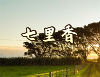 七里香-原调简易版钢琴谱文件(五线谱、双手简谱、数字谱、Midi、PDF)免费下载