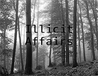 Illicit Affairs-Taylor Swift钢琴谱文件(五线谱、双手简谱、数字谱、Midi、PDF)免费下载