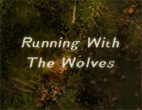 Running with the Wolves-Aurora钢琴谱文件(五线谱、双手简谱、数字谱、Midi、PDF)免费下载