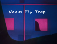 Venus Fly Trap-Marina钢琴谱文件(五线谱、双手简谱、数字谱、Midi、PDF)免费下载