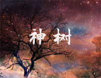 神树-华晨宇钢琴谱文件(五线谱、双手简谱、数字谱、Midi、PDF)免费下载