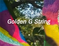 Golden G String-Miley Cyrus钢琴谱文件(五线谱、双手简谱、数字谱、Midi、PDF)免费下载