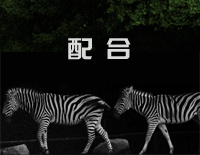 配合-薛之谦钢琴谱文件（五线谱、双手简谱、数字谱、Midi、PDF）免费下载