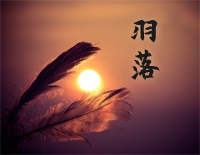 羽落-C调简单版-羽落尽长安 难求枫林晚 四季交替人不换-抖音钢琴谱文件（五线谱、双手简谱、数字谱、Midi、PDF）免费下载