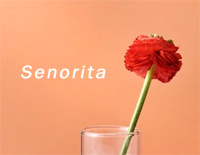 Senorita-Justin Timberlake钢琴谱文件(五线谱、双手简谱、数字谱、Midi、PDF)免费下载