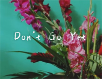 Dont Go Yet-Camila Cabello钢琴谱文件(五线谱、双手简谱、数字谱、Midi、PDF)免费下载