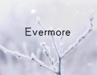 Evermore-Taylor Swift ft Bon Iver钢琴谱文件(五线谱、双手简谱、数字谱、Midi、PDF)免费下载