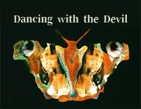 Dancing with the Devil-Demi Lovato钢琴谱文件(五线谱、双手简谱、数字谱、Midi、PDF)免费下载