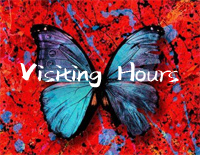 Visiting Hours-Ed Sheeran钢琴谱文件(五线谱、双手简谱、数字谱、Midi、PDF)免费下载