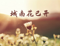 城南花已开-完整版钢琴谱文件(五线谱、双手简谱、数字谱、Midi、PDF)免费下载