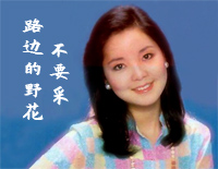 路边的野花不要采-简单版钢琴谱文件(五线谱、双手简谱、数字谱、Midi、PDF)免费下载