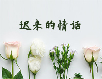 迟来的情话-C调简单版-如果在十八我没能送你花-抖音钢琴谱文件(五线谱、双手简谱、数字谱、Midi、PDF)免费下载