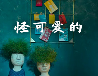 怪可爱的-C调简单版-温暖的抱抱宣传曲钢琴谱文件(五线谱、双手简谱、数字谱、Midi、PDF)免费下载