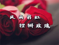 风雨彩虹铿锵玫瑰-简单版钢琴谱文件(五线谱、双手简谱、数字谱、Midi、PDF)免费下载